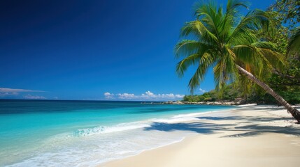 A serene beach scene with clear blue water and a palm tree under a bright sky.