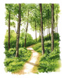 © Mr. Stocker - Serene forest pathway in springtime sunlight, cut out - stock png.