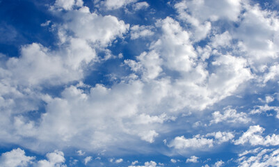 Wall Mural - White clouds in blue sky