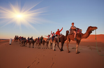 Wall Mural - saharan serenity: camel trekking delight