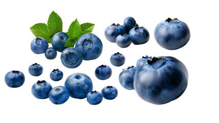 Wall Mural - real fresh blueberry isolated on transparent background  in various angles and positions