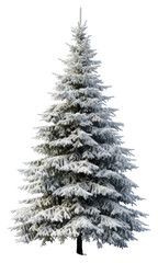 Sticker - PNG Christmas tree plant white snow.