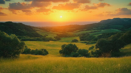 Wall Mural - A beautiful sunset over a field of grass. The sky is filled with clouds and the sun is setting in the distance. The scene is peaceful and serene, with the sun casting a warm glow over the landscape