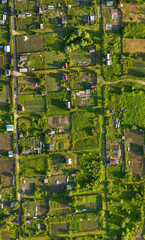 Aerial View of Green Agricultural Plots