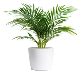 Sticker - PNG Plant leaf houseplant freshness.