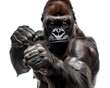 © Bussakon - Fierce Gorilla Beating Its Powerful Chest on White Background