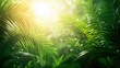 © Seksan - Lush green foliage with sunlight filtering through, creating a serene and tranquil atmosphere in a tropical environment.
