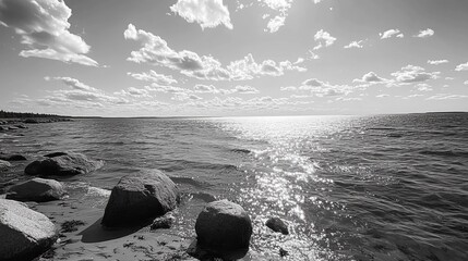 baltic sea's finnish gulf coast. sunny day. b&w.