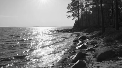 finnish gulf coast on a sunny day. b&w.