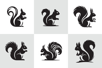 Squirrel vector