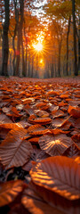 Wall Mural - a sun shining through a forest of leaves