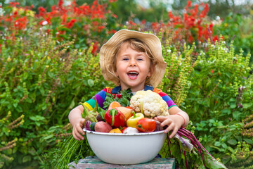 Wall Mural - Child with vegetables in the garden. Selective focus.