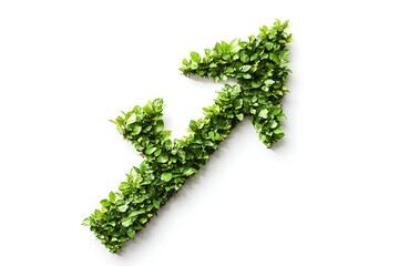 grass arrow pointer isolated on white background