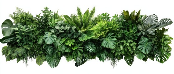 Poster - Lush Green Foliage