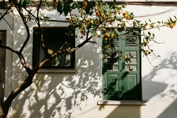 Sticker - Tree Branch With Yellow Fruit Growing On It Against A White Wall