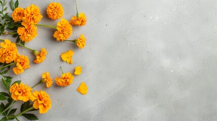 A bunch of orange flowers are scattered on a grey background