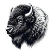 © Elanur - an illustration of bison head with black and white colors isolated on white