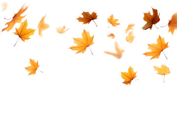 Wall Mural - png fall leaves backgrounds plant leaf.