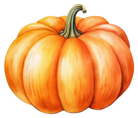 Sticker - PNG Vegetable pumpkin plant food.