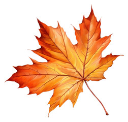 Poster - PNG Autumn leaf maple plant tree.