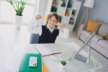 Portrait of charming cute glad clever boy sitting chair table computer video lesson remote education indoors