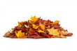© sharafmaksumov - Pile Of Autumn Leaves Isolated