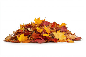 Canvas Print - Pile Of Autumn Leaves Isolated