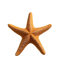 gold starfish with textured arms isolated on transparent background