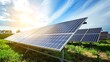 © QAISAR - Modern photovoltaic solar panels to battery charging solar panels set up in rows in sustainable energy on the farmland