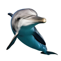 A playful dolphin swimming gracefully underwater, showcasing its sleek body and friendly smile in a vibrant ocean setting.