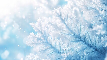 Naklejka na meble Winter's Crystalline Embrace:  A close-up of frost-covered branches, sparkling in the sunlight, evoking the serene beauty of a winter wonderland. 