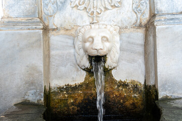 Greece, spring water flows from a sculpted marble stone lion mouth closeup view, Sariza spring Andros island,