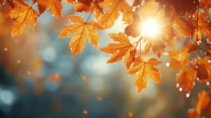 Canvas Print - Autumn Leaves with Golden Sun