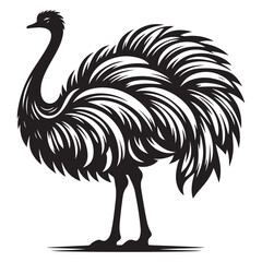 Ostrich silhouette vector illustration, Ostrich emu bird vector illustration on a white background