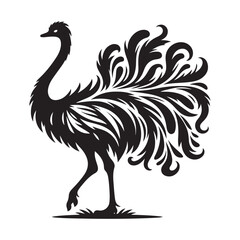 Ostrich silhouette vector illustration, Ostrich emu bird vector illustration on a white background