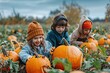 © Екатерина Шпаченко - Children in costumes picking orange pumpkins in a pumpkin patch during an October festival
