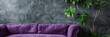 © Brian - purple couch and house plant in front of gray wall