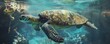 © Alexey - Curious sea turtle gliding gracefully through the sea, 4K hyperrealistic photo