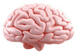 © Rawpixel.com - PNG Brain white background freshness medical.