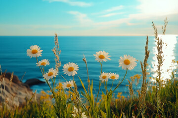 Wall Mural - close-up of daisies with a bright blue sea in the background under a clear sky. perfect for summer t