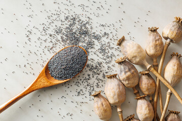 Sticker - Dry poppy head and poppy seed in spoon on kitchen table. Top view.