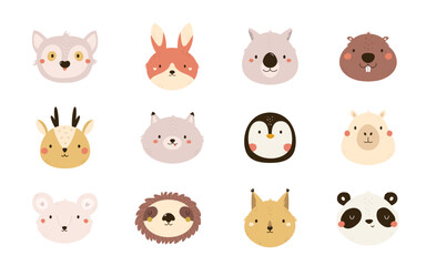 Wall Mural - Set of hand drawn animal portraits, clip arts. Vector illustration of beaver, sloth, panda, deer, koala