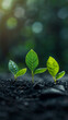 © christian - small plant that symbolises the meaning of new life, created with generative AI technology