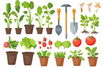 Sticker - Variety of potted plants with gardening tools in the background