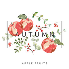 Autumn apples, forest red berries, green leaves, frame, white background. Print for t shirt, poster, with text. Vector illustration. Fall season arrangement with fruits. Design template