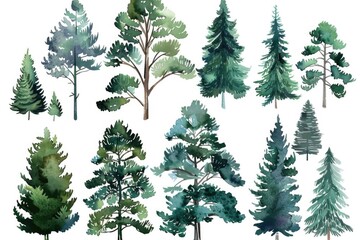 Wall Mural - Watercolor illustration of trees on a white background, suitable for various designs and projects