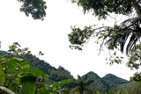 View of green jungle, mountain and hills. Panoramic view of nature in Lumiar, Rio de Janeiro. Transparent background.