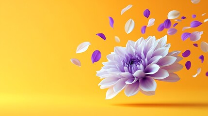 Wall Mural - Beautiful fresh white and purple Dahlia flower falling in the air isolated on yellow background Levitation or zero gravity conception High resolution image : Generative AI