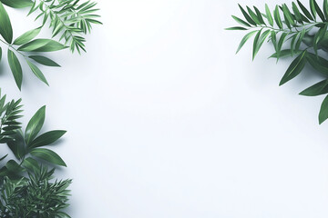 Header Design isolated on white background