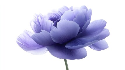Aufkleber - Bluepurple  peony flower  on white isolated background with clipping path Closeup For design Nature : Generative AI